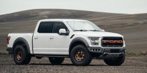 Ford F-150 with Black Rhino Voyager
